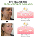 TLOPA® Luxurious Collagen Firming Cream